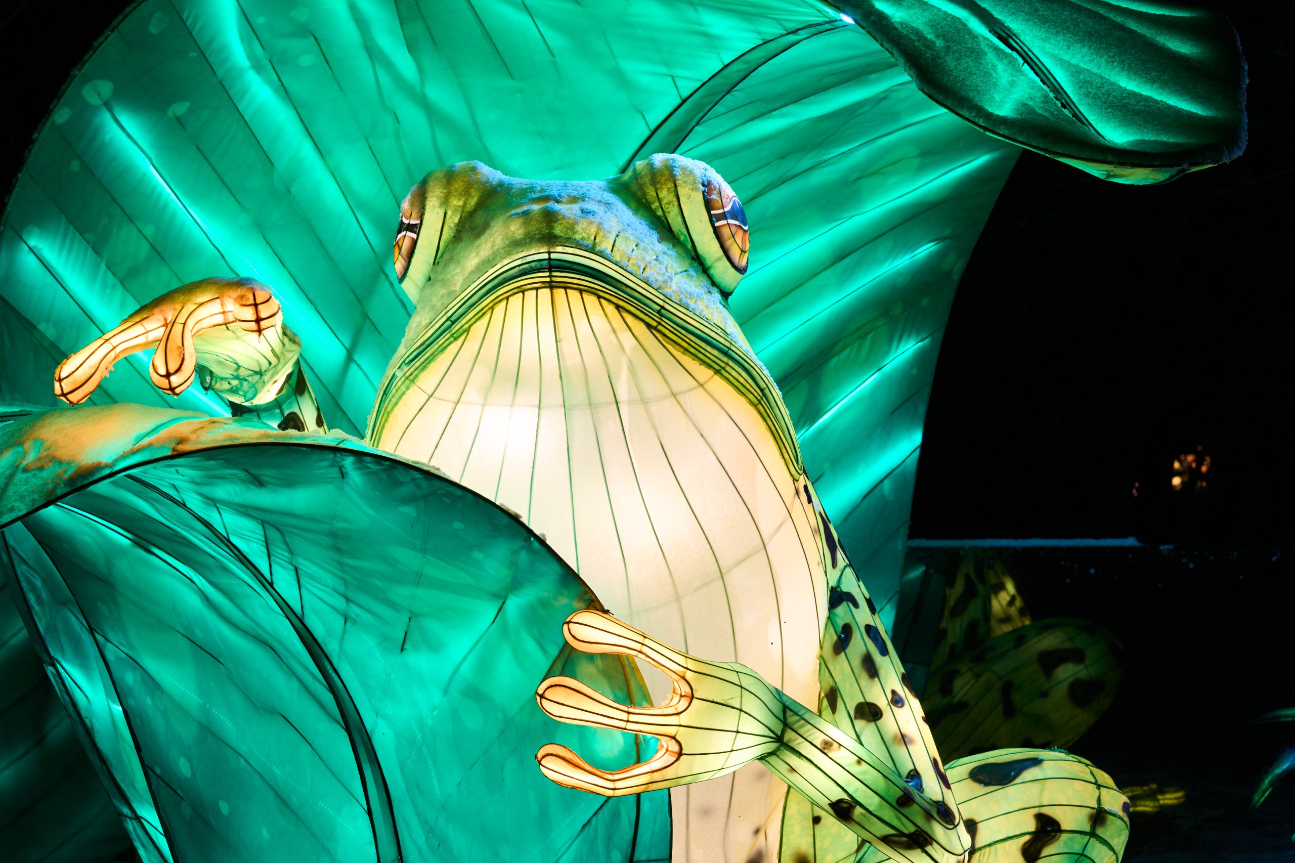 2026 01 05 China Lights 0089